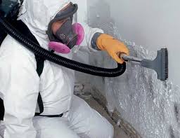 Best Industrial Mold Remediation in West Reading, PA